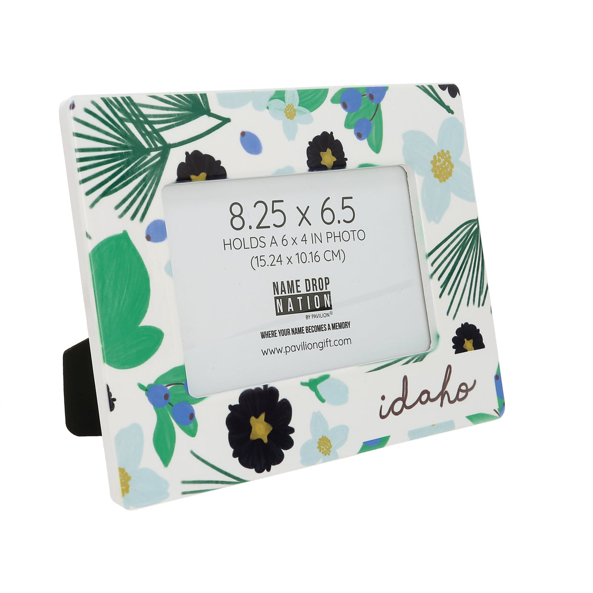 Idaho - Ceramic Frame