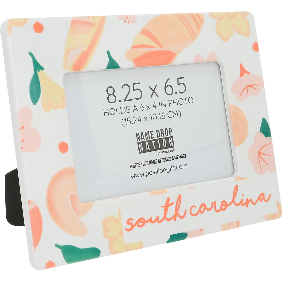 South Carolina - Ceramic Frame