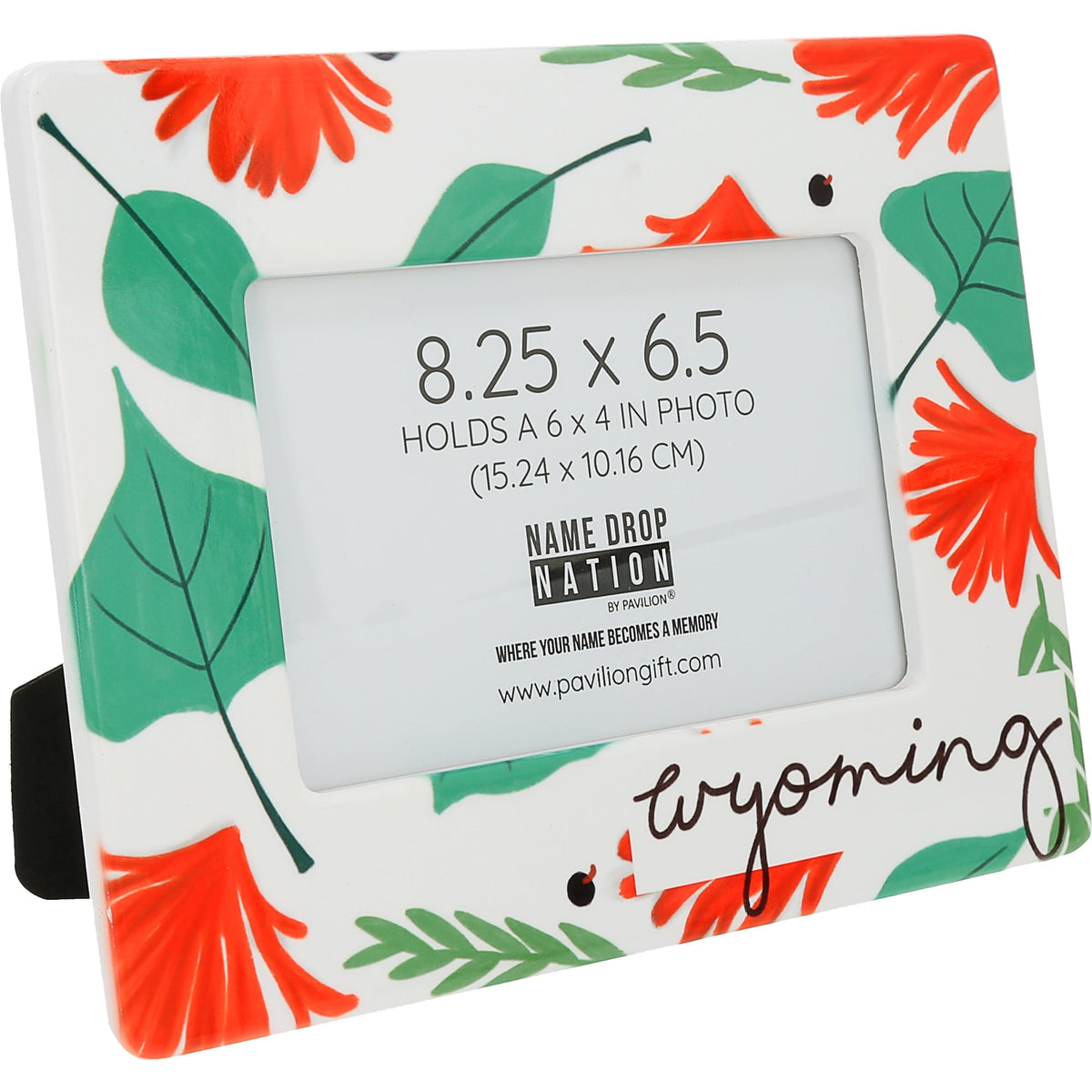 Wyoming - Ceramic Frame