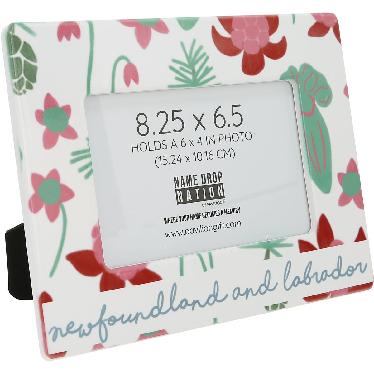 Newfoundland & Labrador - Ceramic Frame