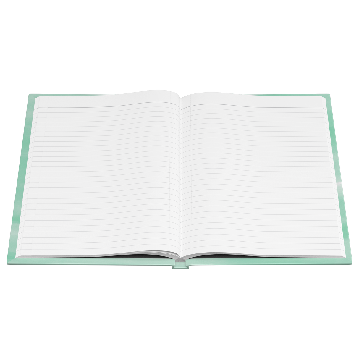 Journal_-_South_Carolina_See_America_Open_Pages_Flat_Mockup.png_15509663