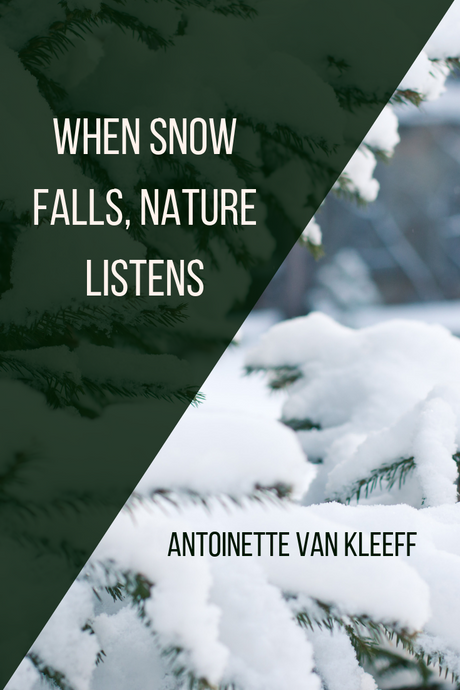 When Snow Falls, Nature Listens - tandemfortwo.com