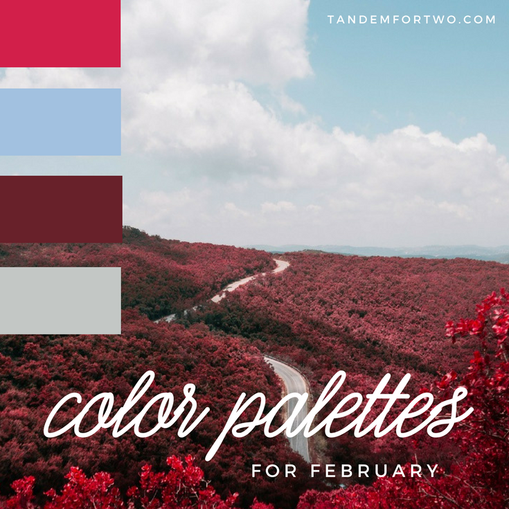 February Color Palettes from Tandem For Two