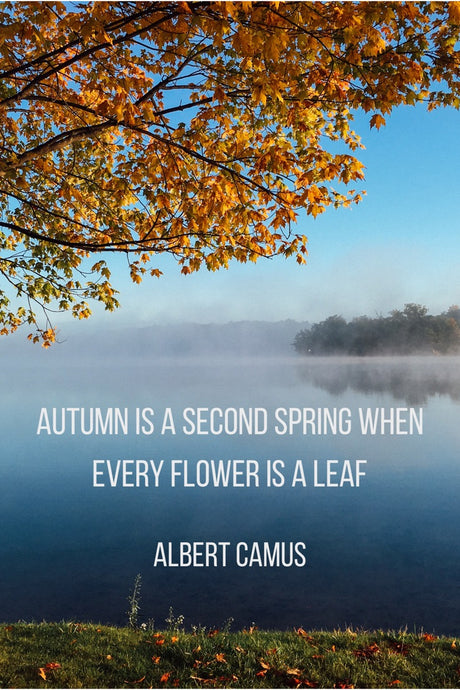 Autumn is a Second Spring - Tandem For Two