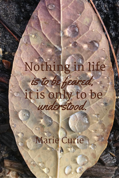 Nothing in Life is to be Feared - tandemfortwo.com