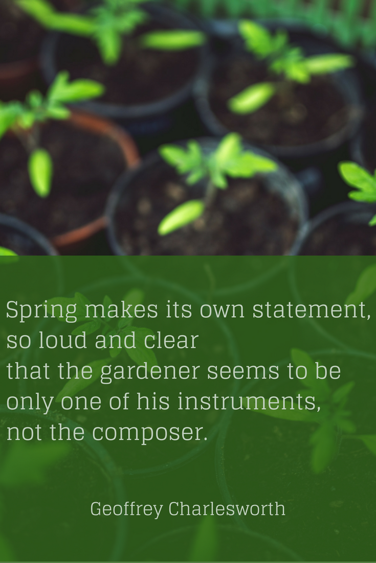 Spring Makes Its Own Statement... tandemfortwo.com