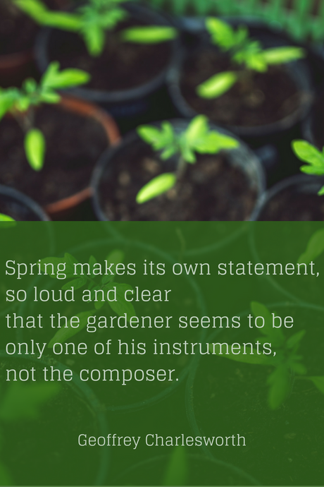 Spring Makes Its Own Statement... tandemfortwo.com