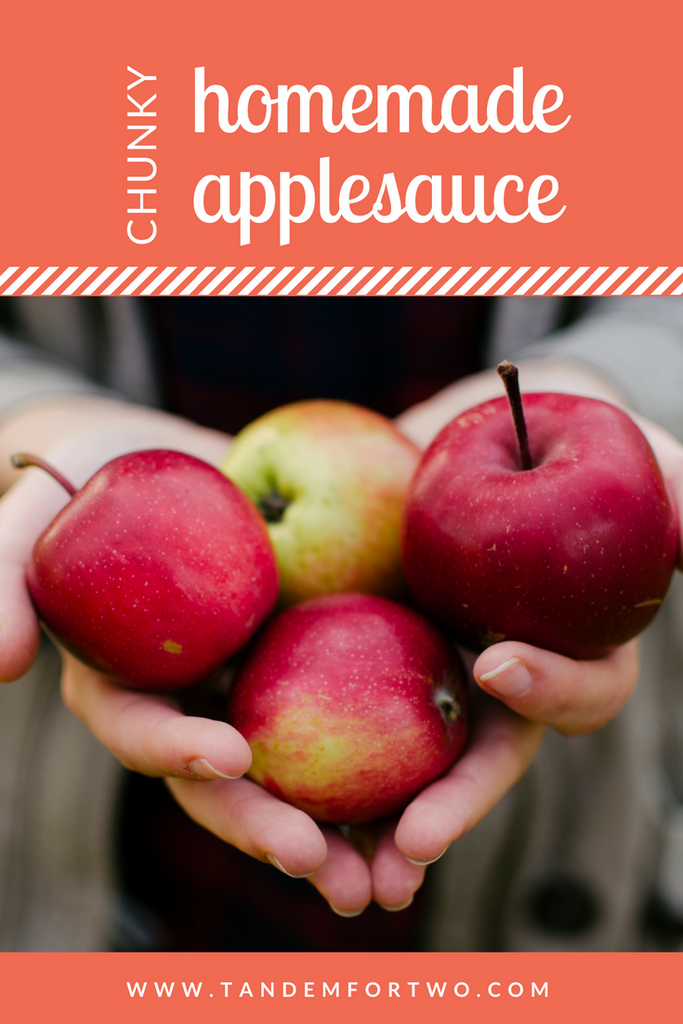 How to Make Chunky Homemade Applesauce - Tandem For Two