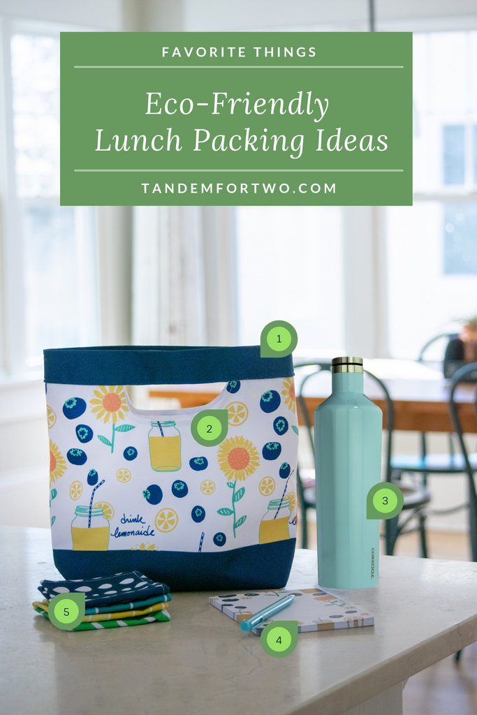 Eco-Friendly Lunch Packing Ideas - Tandem For Two
