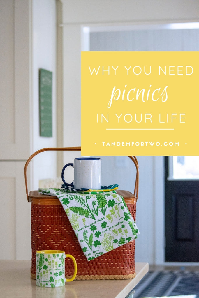 Why You Need Picnics in Your Life - Tandem For Two