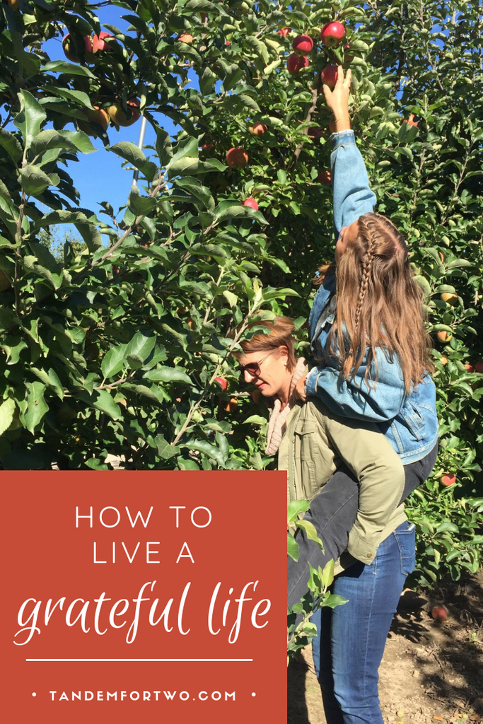 How to Live a Grateful Life - tandemfortwo.com