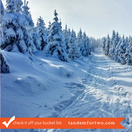 Check It Off Your Bucket List with Tandem For Two