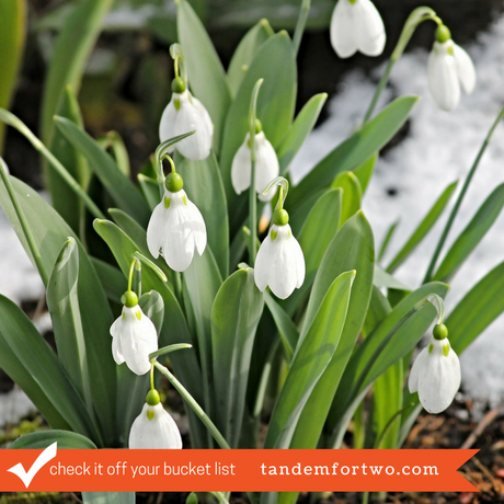 Check It Off Your Bucket List - tandemfortwo.com