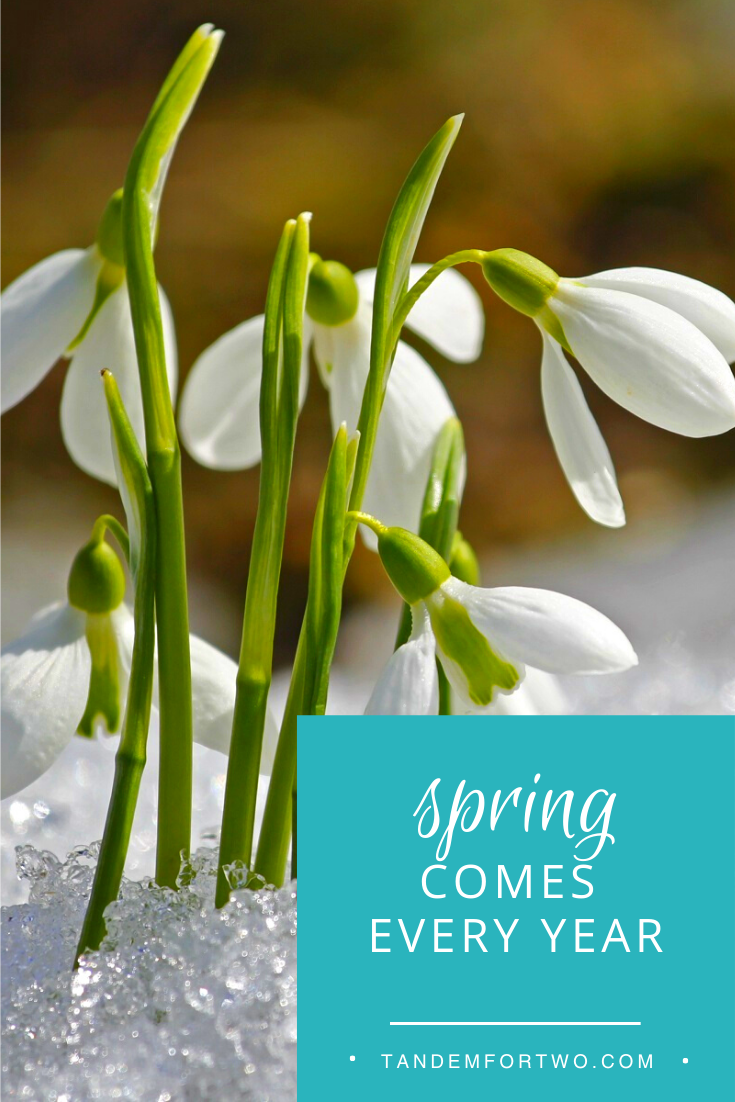 April 2 Spring Spring Comes Every Year! – Tandem For Two