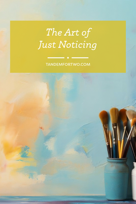 The Art of Just Noticing