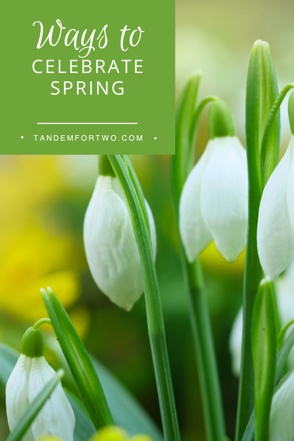Ways to Celebrate Spring!