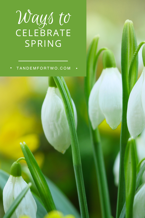 Ways to Celebrate Spring! – Tandem For Two