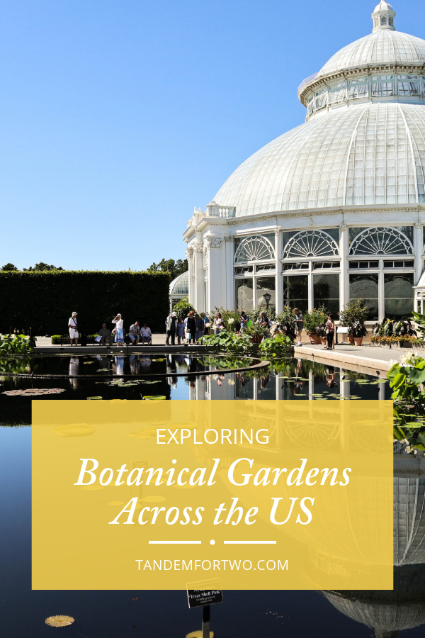 Discovering the Best Botanical Gardens