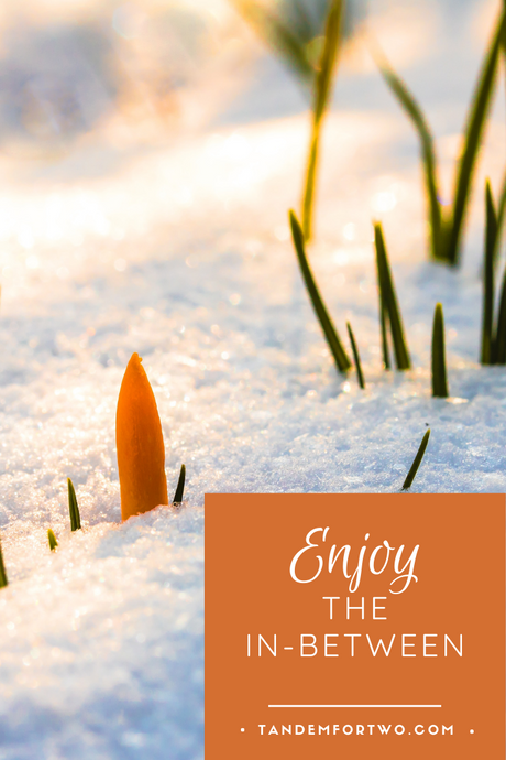 Enjoy the In-Between