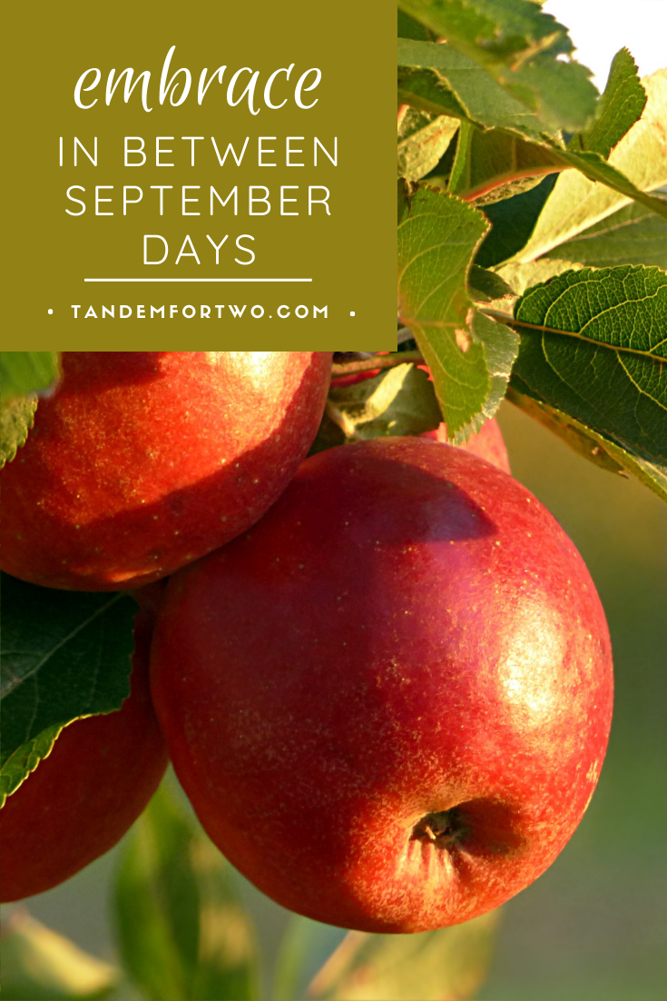 Embrace In Between September Days