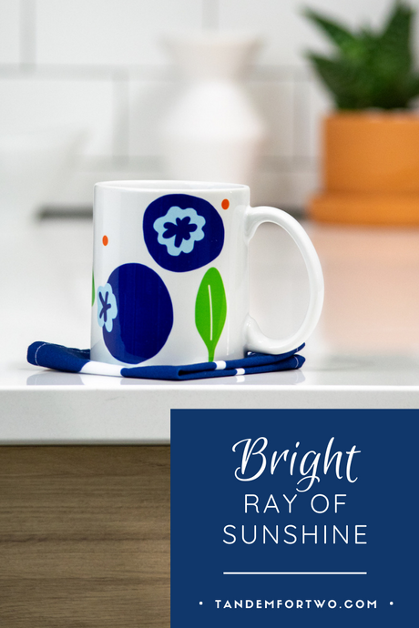 Blueberries - Bright Rays of Sunshine