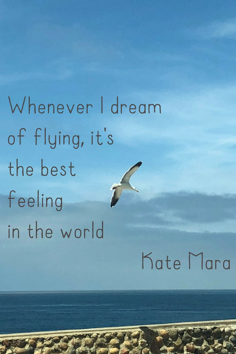 Whenever I Dream of Flying - tandemfortwo.com