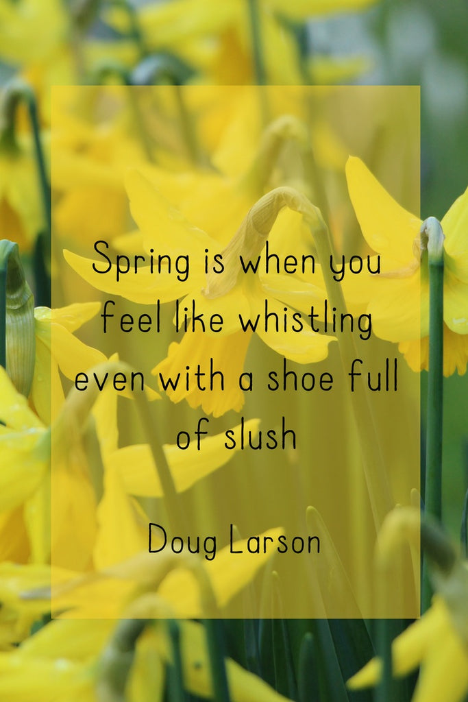 Spring is When you Feel Like Whistling...