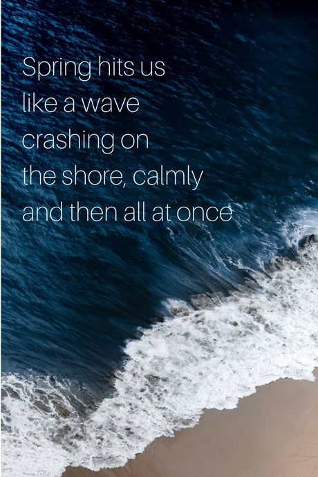 Spring Hits us Like a Wave - tandemfortwo.com