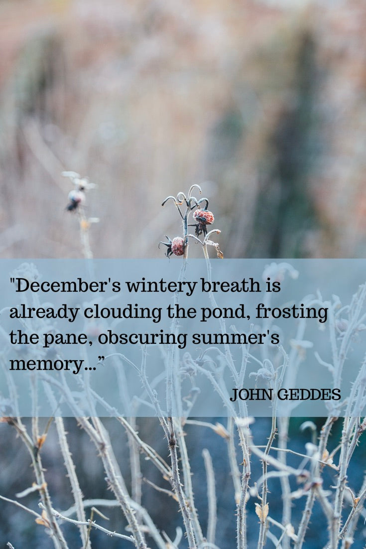 December's Wintery Breath from Tandem For Two