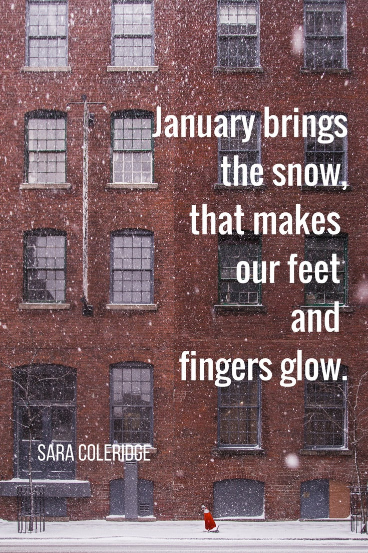 January Brings the Snow from tandemfortwo.com