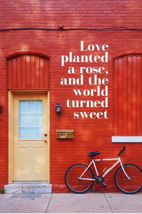 Love Planted a Rose - Tandem For Two