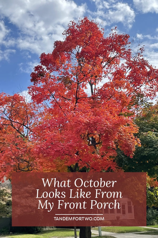 What October Looks Like From My Front Porch