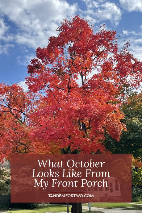 What October Looks Like From My Front Porch