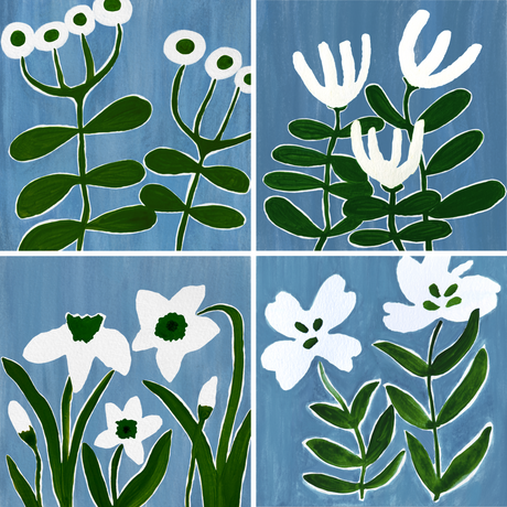 Blue Meadow