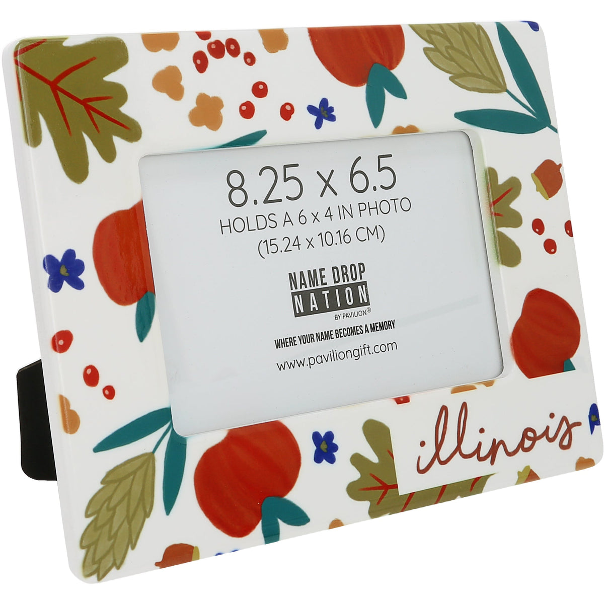 Illinois - Ceramic Frame