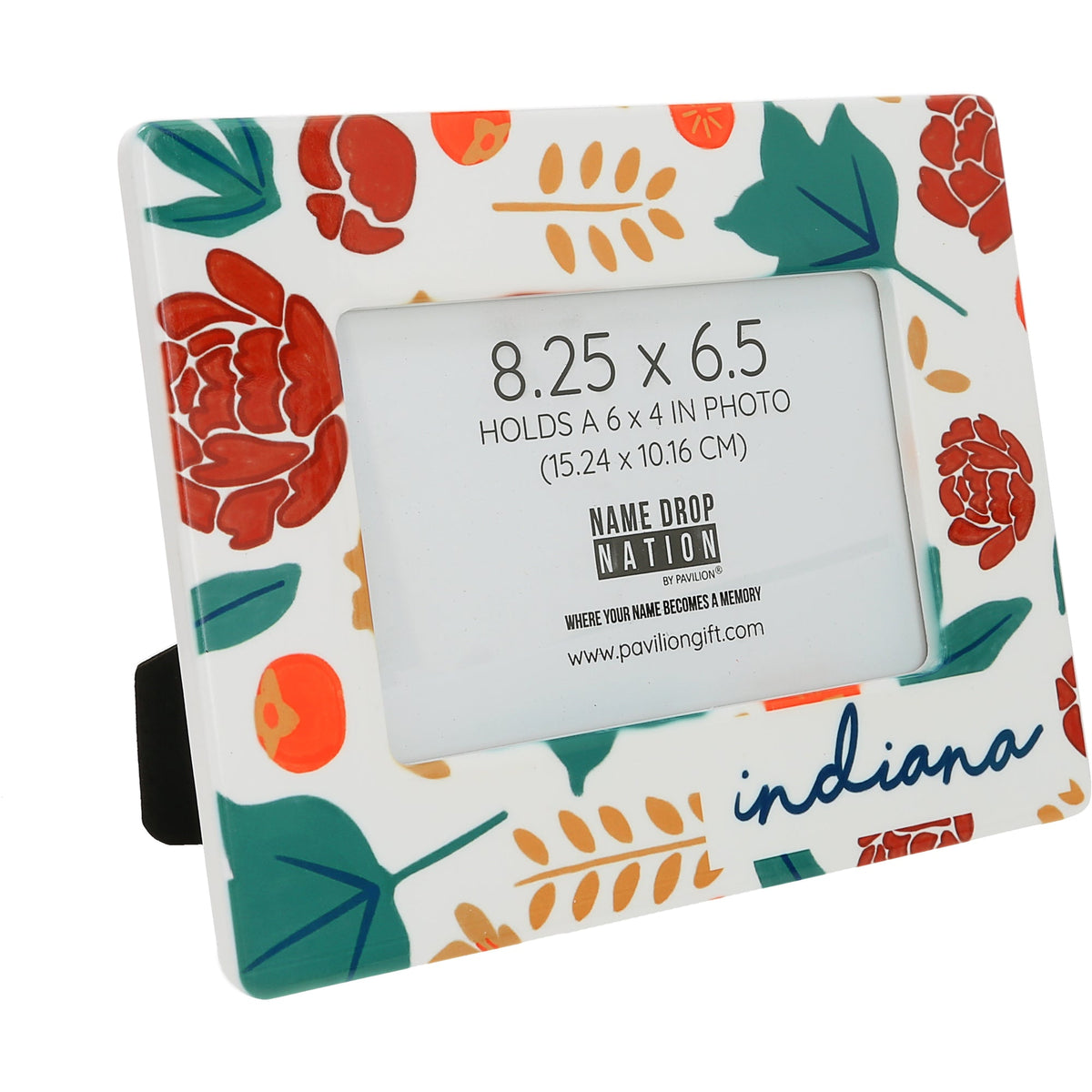 Indiana - Ceramic Frame