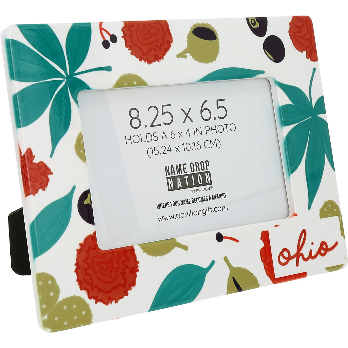 Ohio - Ceramic Frame