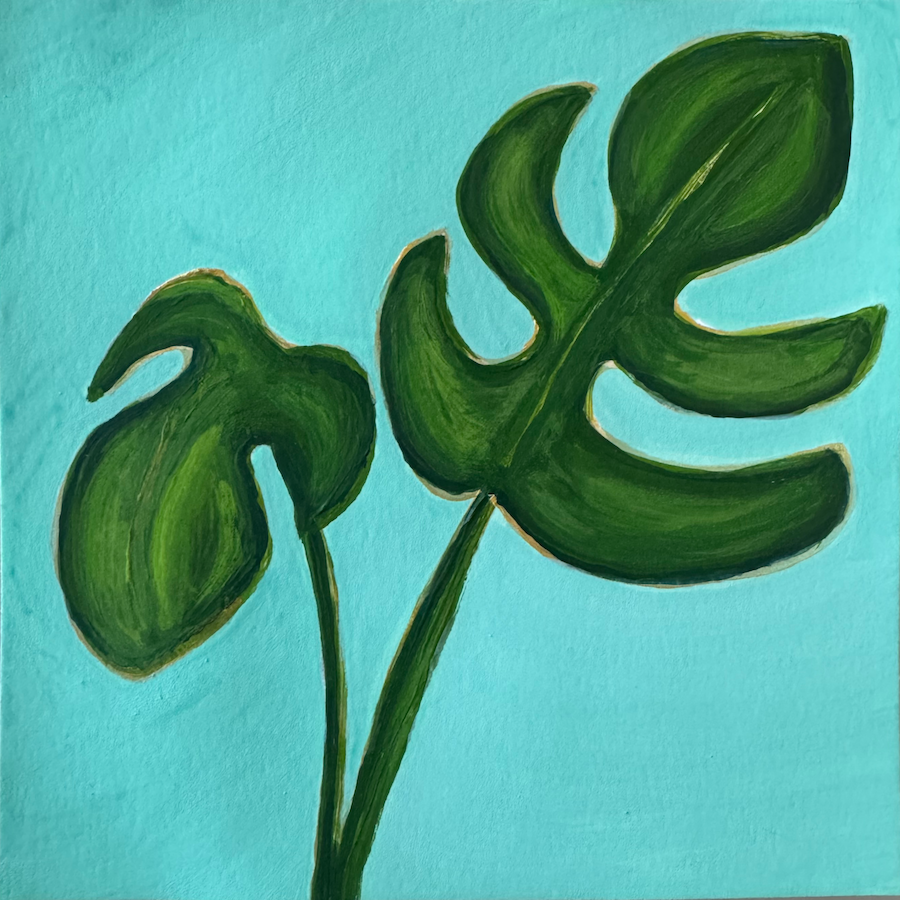 Emerald Philodendron