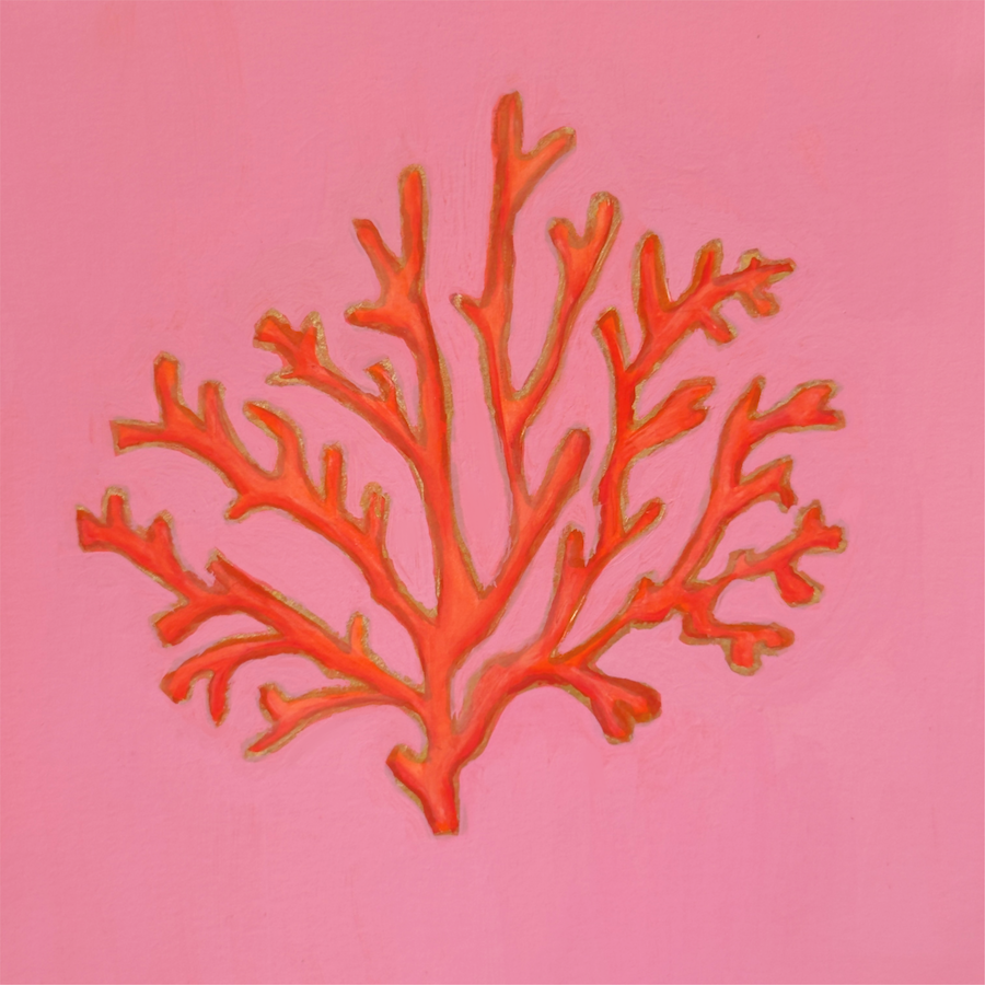 Reef Branch