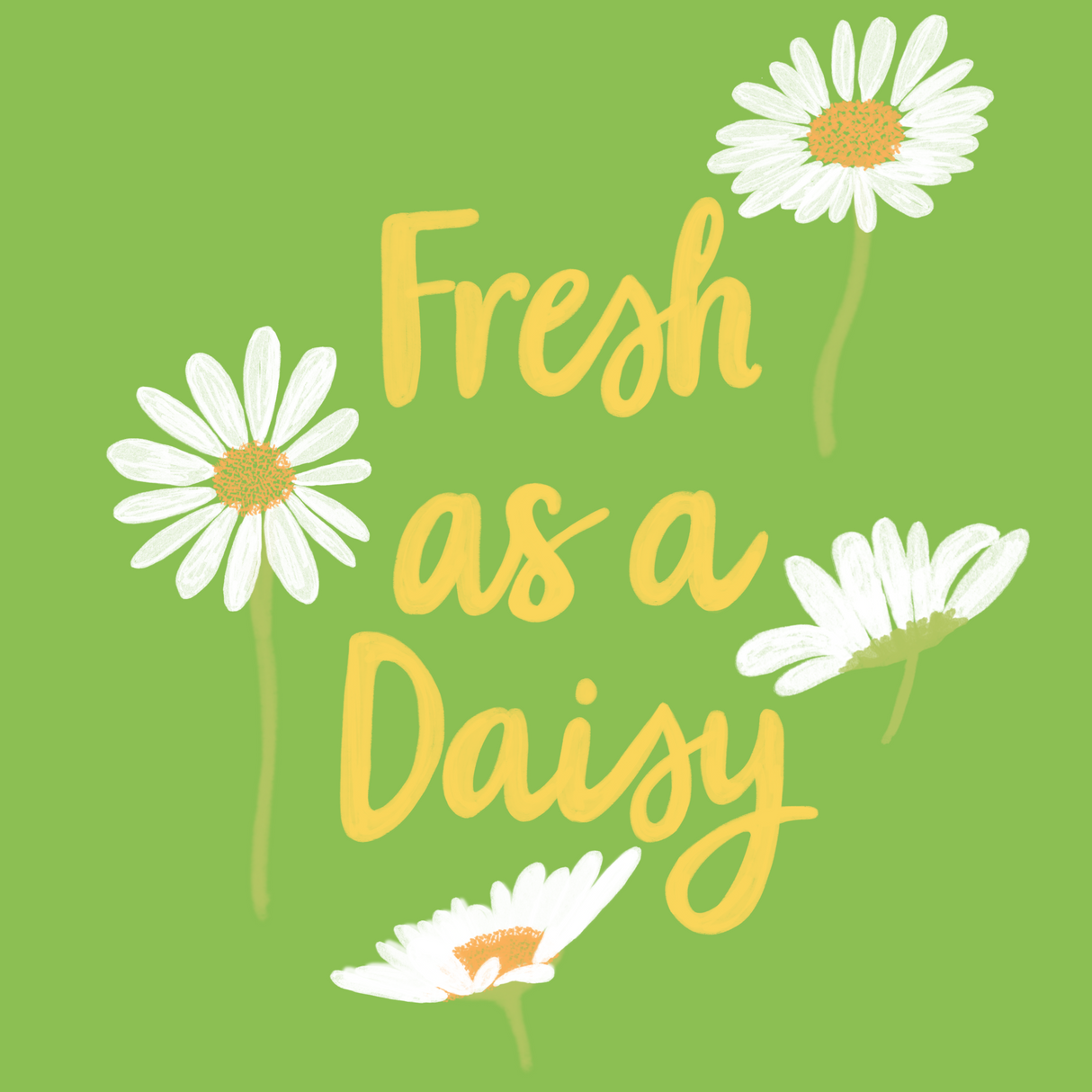 Fresh As A Daisy