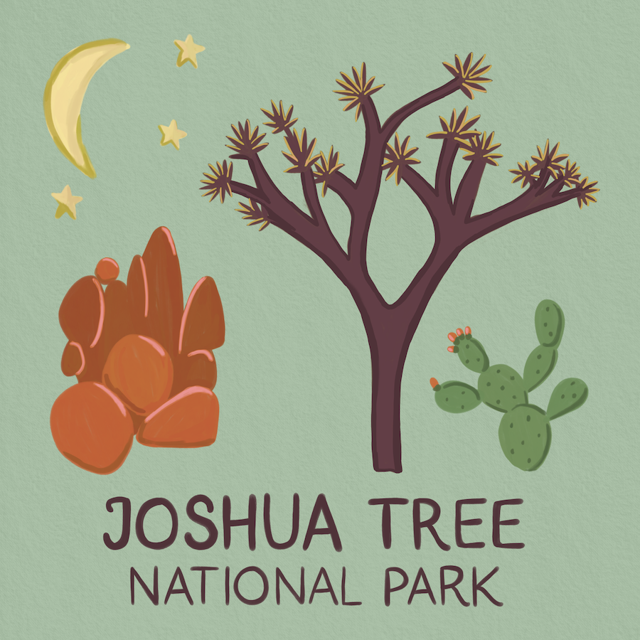 Joshua Tree Landmarks