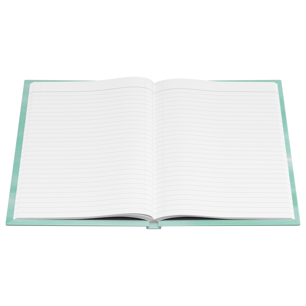 Journal_-_Delaware_See_America_Open_Pages_Flat_Mockup.png_15509708