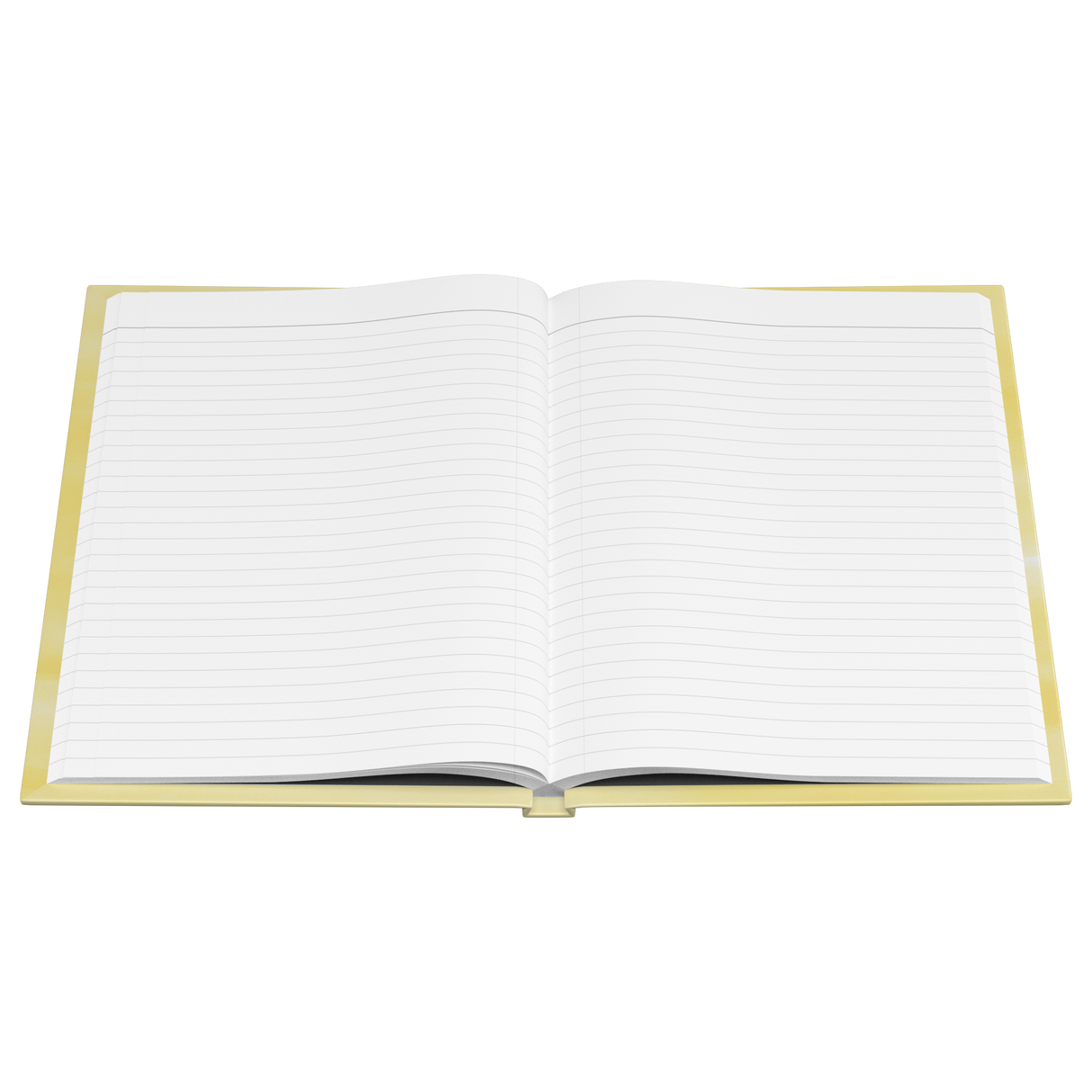 Journal_-_Michigan_See_America_Open_Pages_Flat_Mockup.png_15509736