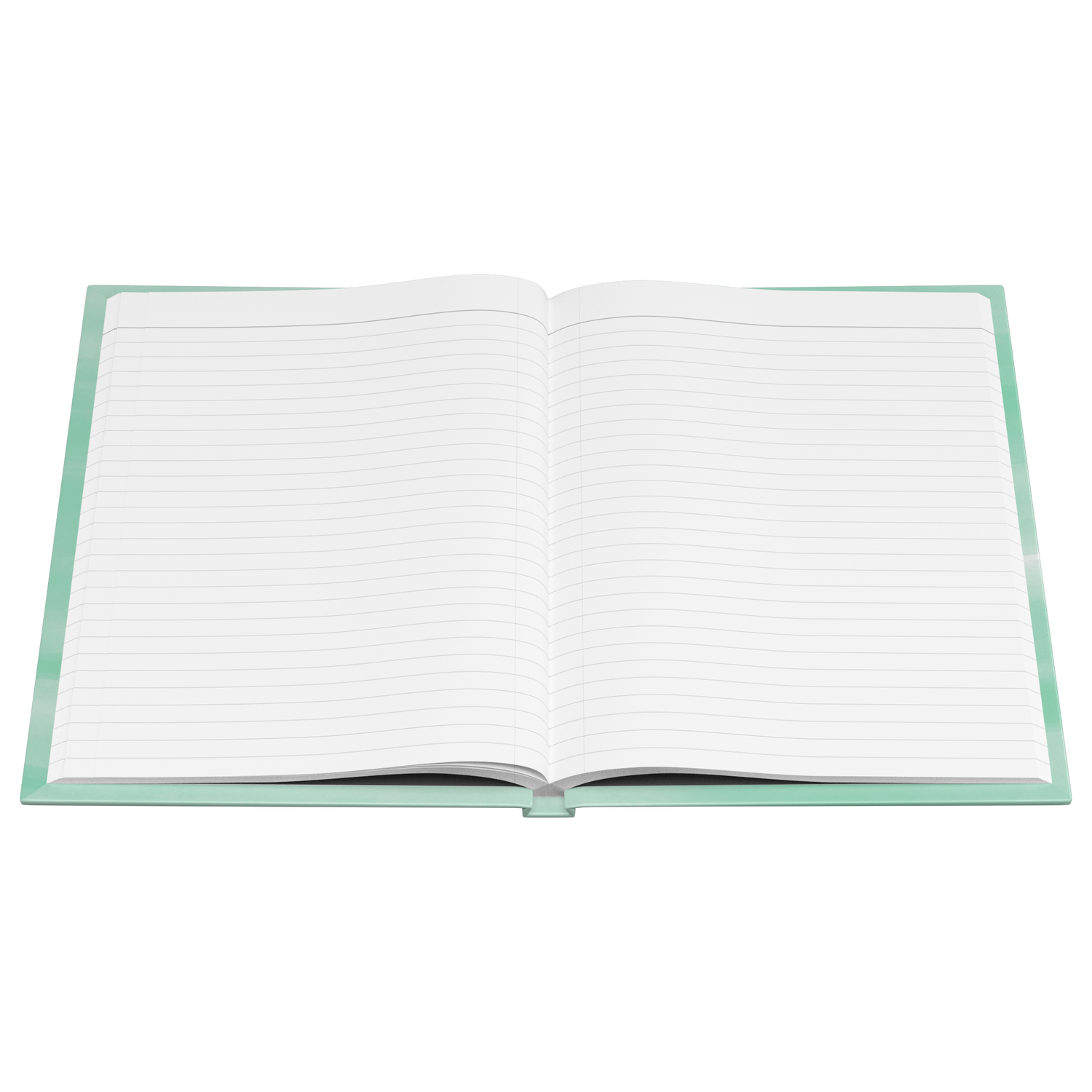 Journal_-_South_Carolina_See_America_Open_Pages_Flat_Mockup.png_15509663