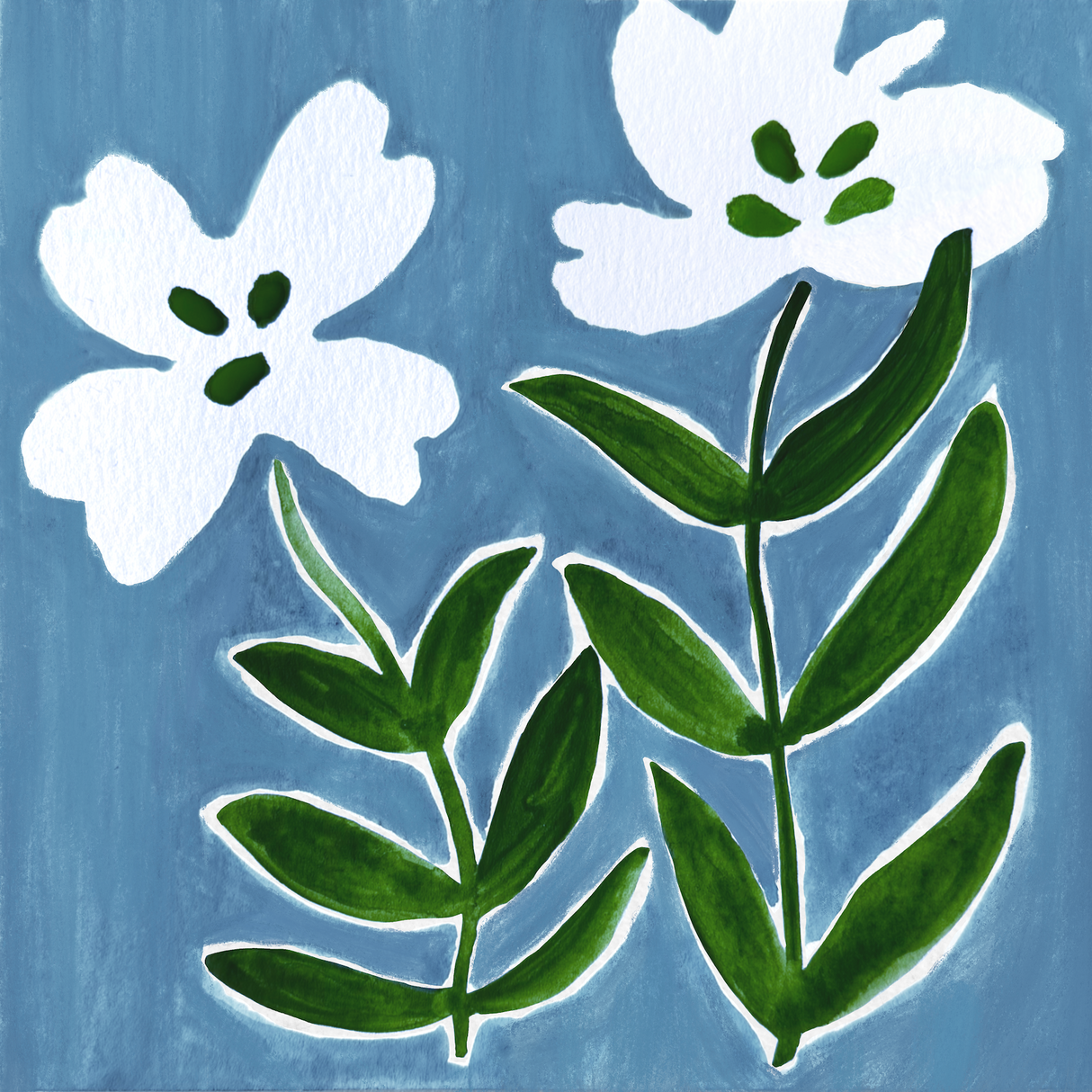 Meadow Blooms