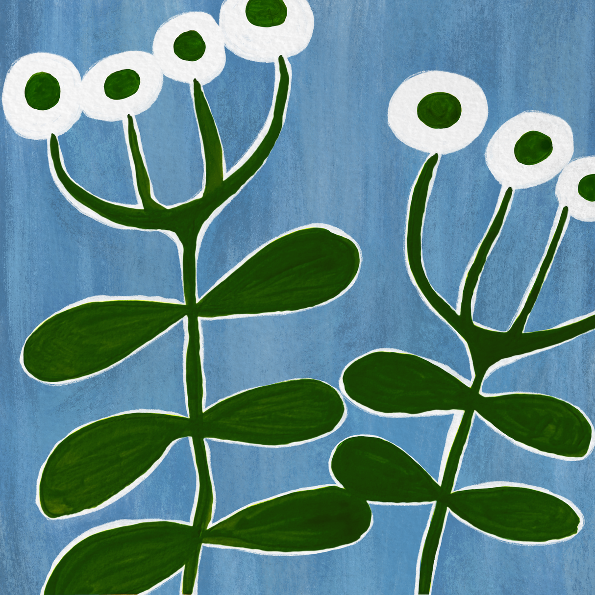 Meadow Seeds