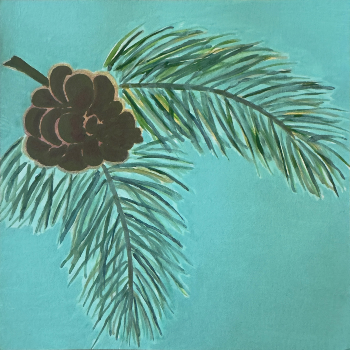 Painted Pine