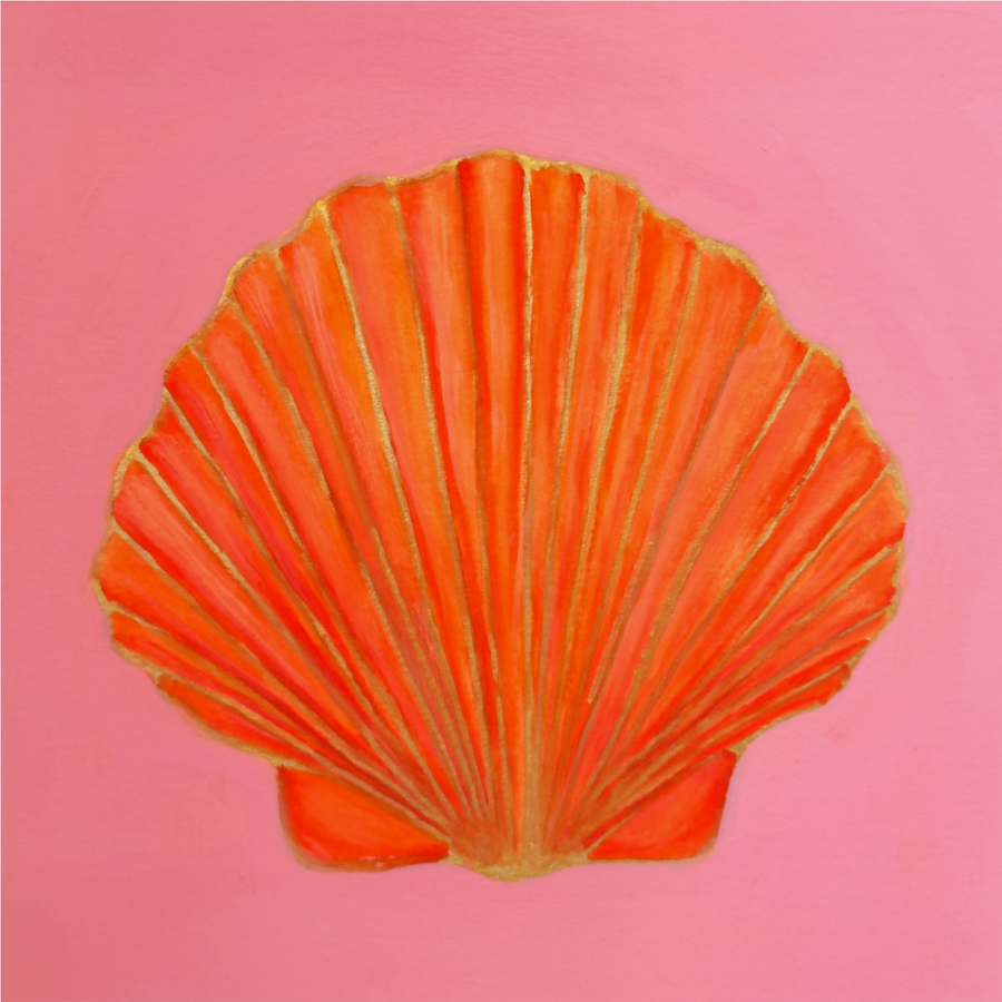 Sunset Scallop