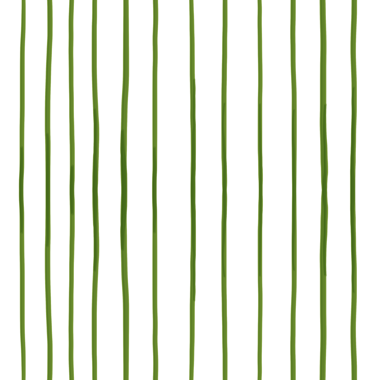 Stem Stripes