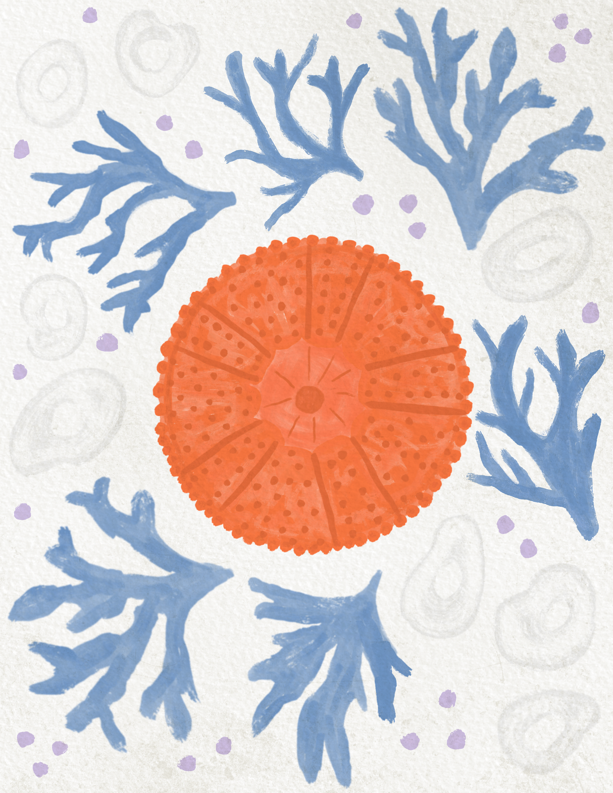 Sun Urchin